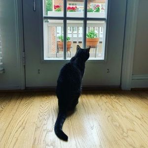 Meet your Posher, Luna